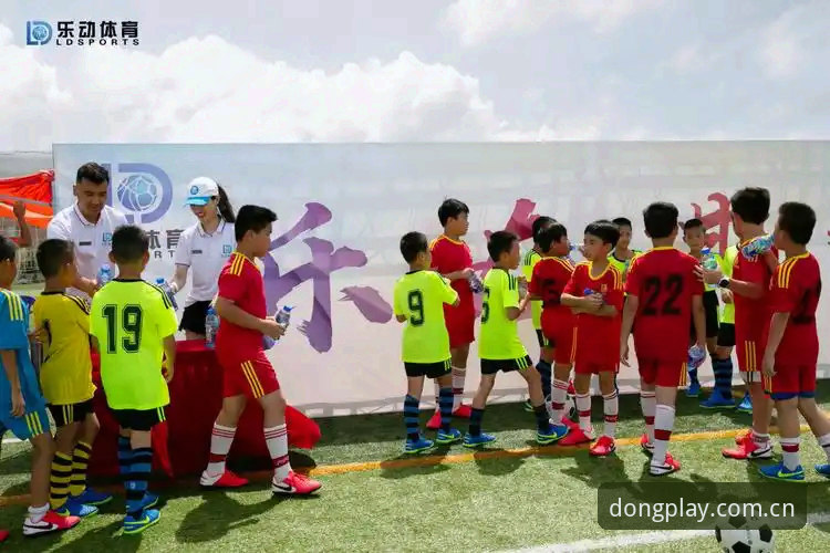 如何评估乐动体育押注安全？一个专业分析师的深度解读